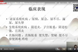 张乐张氏徒手整塑高级班视频课程103集徒手整形教程百度网盘下载学习