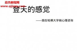 岳晓东心理咨询课程全集岳晓东心理咨询师基本功怎样做一个出色的心理咨询师百度网盘下载学习