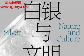 (美)菲奥娜琳赛舍恩著白银与文明电子书pdfmobiepub格式百度网盘下载学习