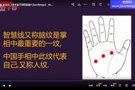 无为子掌纹学掌纹手木目的运势密码视频课程22集百度网盘下载学习