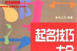 毛上文著起名技巧大全电子书pdf百度网盘下载学习