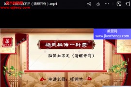 杨茜兰杨氏秘传一针灵视频课程18集百度网盘下载学习