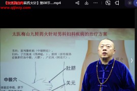刘念来太医梅山九转药火针视频课程24集百度网盘下载学习