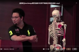 苗振视频教程全集苗振诺亚第拉伸疗法最新视频合集苗振呼吸颈肩痛拉筋疗法百度云网盘下载学习