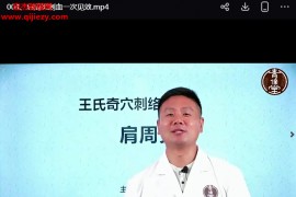 王超王氏中医传承班视频课程209集百度网盘下载学习