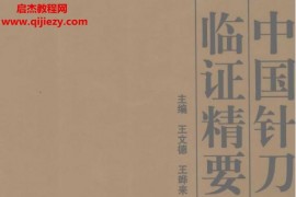 王文德主编中国针刀临证精要电子书pdf百度网盘下载学习