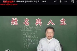 张定玮12生肖姓名解析视频课程12集百度网盘下载学习