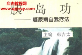 韩吉太主编胰岛功糖尿病自我疗法电子书pdf百度网盘下载学习