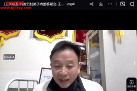 王合民王氏刺血排瘀疗法弟子内部答疑会视频课程24集百度网盘下载学习