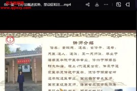 玄修道长道家上古能量针视频课程19集百度网盘下载学习