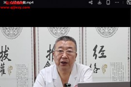 梁力忠气血循环针法视频课程36集附秘方百度网盘下载学习