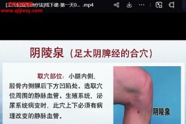 王合民王氏刺血排瘀疗法视频课程20集百度网盘下载学习