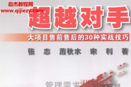 张志萧秋水宋利编著超越对手大项目售前售后的30种实战技巧电子书pdf百度网盘下载学习