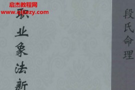 段建业言明著职业像法新解电子书pdf百度网盘下载学习