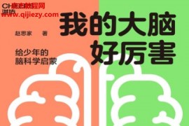 赵思家著我的大脑好厉害电子书pdfmobiepub格式百度网盘下载学习