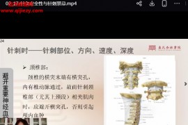 桑氏针灸初级班第三期杭州站视频课程34集百度网盘下载学习