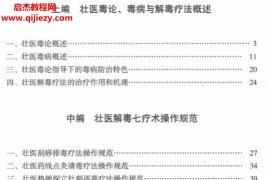 庞宇舟主编中国壮医药文库壮医解毒七疗术电子书pdf百度网盘下载学习