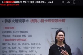 姜柳屹彝家火塘观掌术视频课程16集百度网盘下载学习
