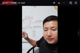 丁彬道家悬针无痛疗法道家悬针术视频课程百度网盘下载学习