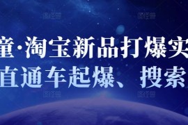 凌童淘宝新品打爆实战班视频课程28集直通车起爆搜索起爆百度云网盘下载学习