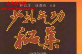 释德虔徐勤燕著少林气功秘集电子书pdf百度网盘下载学习