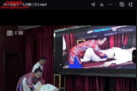 刘祖茗宫廷御雕御女驻颜回春术4天视频课程百度网盘下载学习