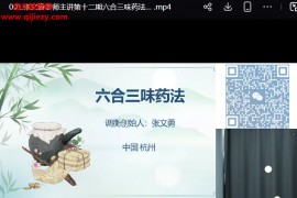 张文勇六合三味药法视频课程1集百度网盘下载学习