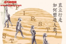 (美)杰里米德席尔瓦著人类的第一步电子书pdfmobiepub格式百度网盘下载学习