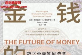 (美)埃斯瓦尔S普拉萨德著金钱的未来电子书pdfmobiepub格式百度网盘下载学习