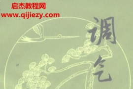章真如编著调气论电子书pdf百度网盘下载学习