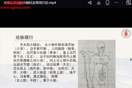 陈沙沙老师主讲一针疗法高级班视频课程63集百度网盘下载学习