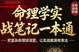 八字命理学实战笔记一本通电子书pdf百度网盘下载学习