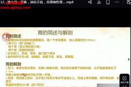 程丽丽骨神经松动能量波视频课程20集百度网盘下载学习