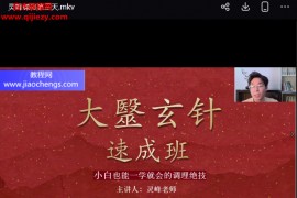 灵峰大医玄针三天视频课程3集百度网盘下载学习