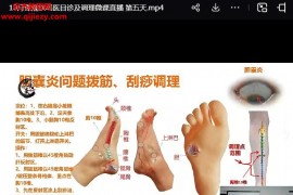 谭观钦课程全套谭观钦正骨刮痧目诊脉法减肥视频课程百度网盘下载学习