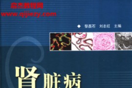 黎磊石刘志红主编肾脏病临床集锦电子书pdf百度网盘下载学习