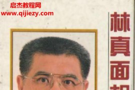 林真著面相学实例篇电子书pdf百度网盘下载学习