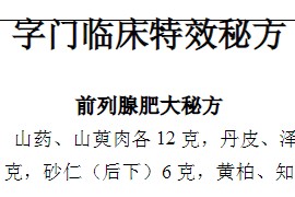 字门临床特效秘方电子书pdf百度网盘下载学习
