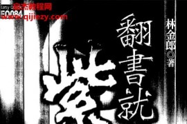 林金郎著翻书就能算紫薇电子书pdf百度网盘下载学习