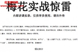 梅花实战惊雷电子书pdf百度网盘下载学习