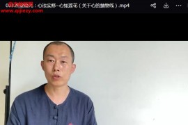 桩功‬好课桩道天周‬高功班七周49天练跟‬好课全167讲视频课程百度网盘下载学习