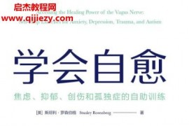(美)斯坦利罗森伯格著学会自愈焦虑抑郁创伤和孤独症的自助训练电子书pdfmobiepub格式百度网盘下载学习