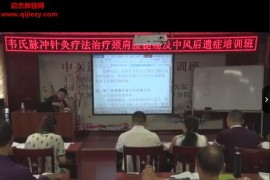 韦新山第二掌骨全息疗法视频课程3集百度网盘下载学习