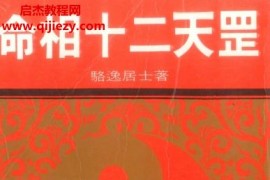 香港骆逸居士命相十二天罡电子书pdf858页百度网盘下载学习