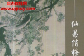 梁丰著仙易俏梅花电子书pdf百度网盘下载学习