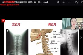 祁献灵疼痛影像学临床解析线上网课3天视频课程百度网盘下载学习