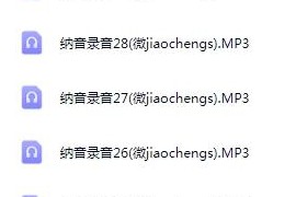 盲人纳音神断录音盲人传人破天机全面讲解纳音断八字锦囊百度网盘下载学习