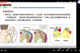 敖学恒脑卒中偏瘫上肢系统康复和管理方法视频课程24集百度网盘下载学习