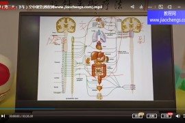 空中课堂刘光祁脑针系脑针髓针PT针J针刃针微刺平衡疗法视频课程百度网盘下载学习