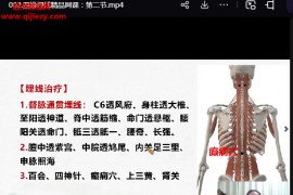 林君四维埋线特约精品网课3集百度网盘下载学习